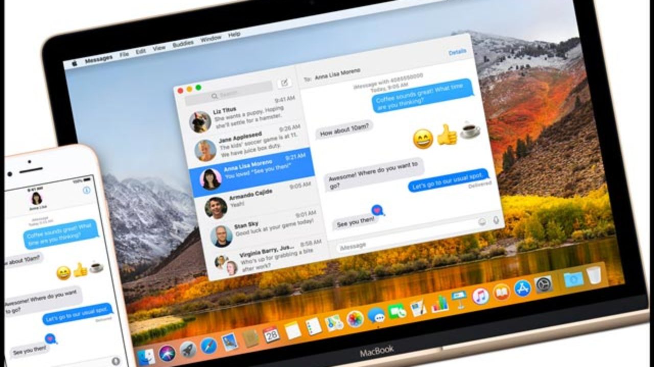 stop messages for iphone come in mac?